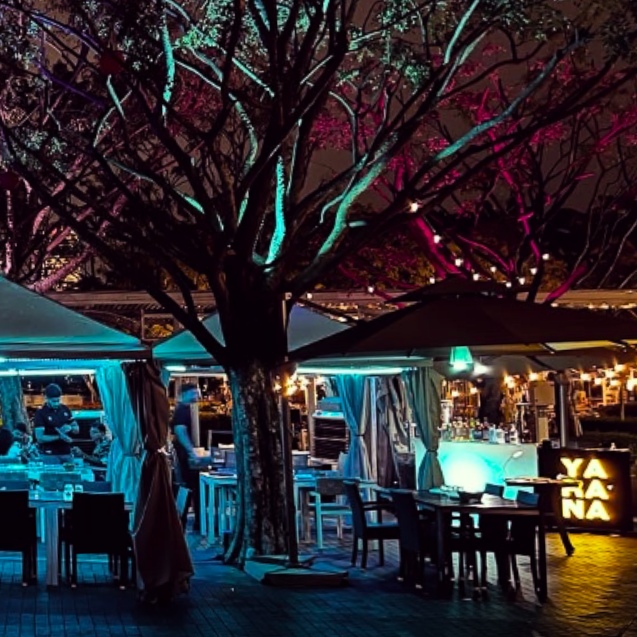 Mental Health Project